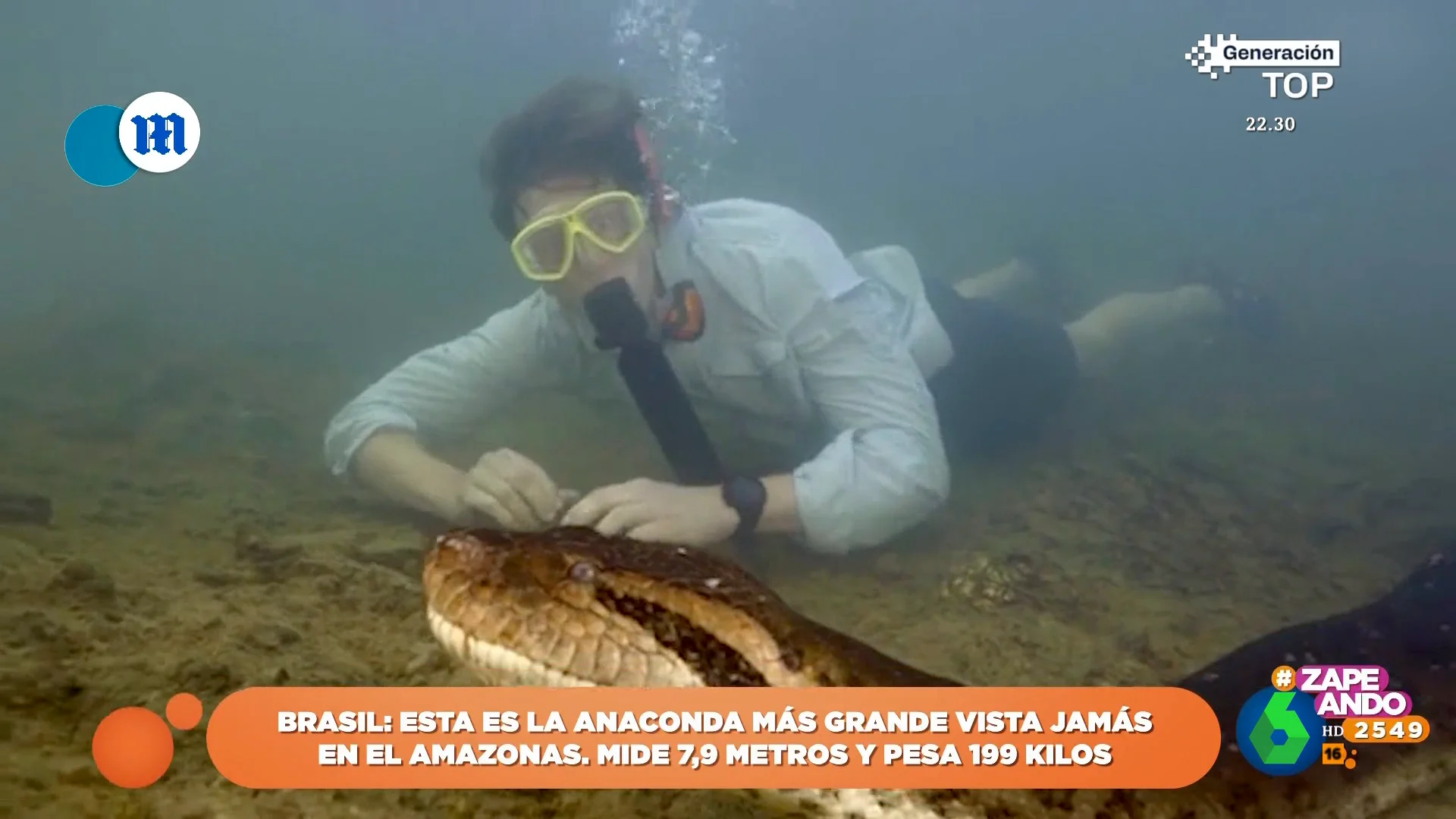 Así es la anaconda más grande vista en el Amazonas: mide casi ocho metros y pesa casi 200 kilos