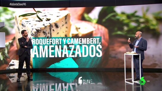El roquefort y el camembert, en peligro: una crisis silenciosa amenaza a las joyas de la gastronom&iacute;a francesa