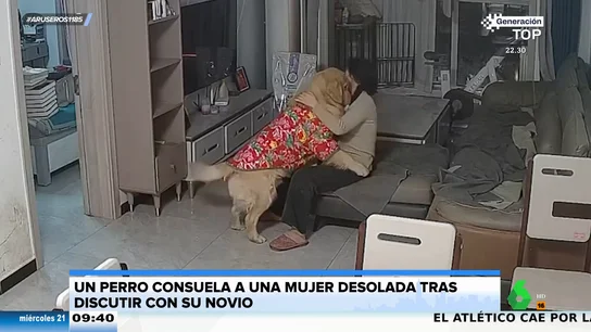 El entrañable gesto de un perro que consuela a su dueña desolada tras discutir con su novio El entrañable gesto de un perro que consuela a su dueña desolada tras discutir con su novio