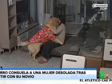 El entrañable gesto de un perro que consuela a su dueña desolada tras discutir con su novio