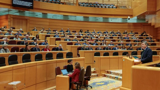 Pleno que este miércoles celebra la Cámara Alta en Madrid. Pleno que este miércoles celebra la Cámara Alta en Madrid.