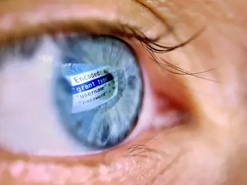 Reflejo del iris Reflejo del iris