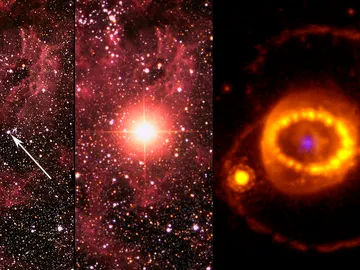 supernova 1987A supernova 1987A