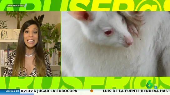 La bióloga Evelyn Segura en Aruseros La bióloga Evelyn Segura en Aruseros