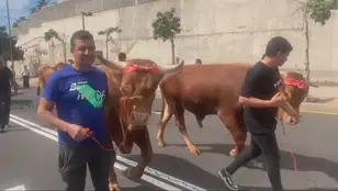 Huelga de agricultores en Tenerife