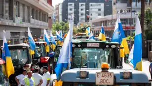 Una columna de tractores llega a la Delegación del Gobierno de Canarias durante la décimosexta jornada de protestas de los tractores en las carreteras españolas.