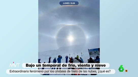 MVT EfectoOptico MVT EfectoOptico