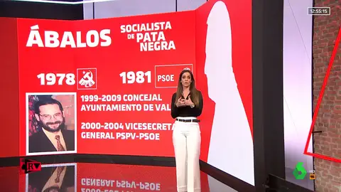 Así ha sido la trayectoria profesional de José Luis Ábalos en el PSOE