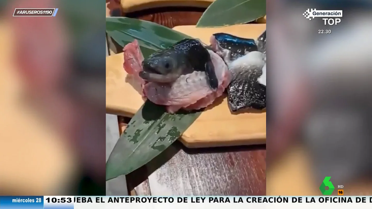 Tan frescos, tan frescos, que se mueven en el plato: así reaccionan los aruser@s al ver estas ancas de rana y este pescado Tan frescos, tan frescos, que se mueven en el plato: así reaccionan los aruser@s al ver estas ancas de rana y este pescado