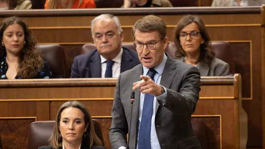 El líder del PP, Alberto Núñez Feijóo, durante una sesión de control al Gobierno El líder del PP, Alberto Núñez Feijóo, durante una sesión de control al Gobierno