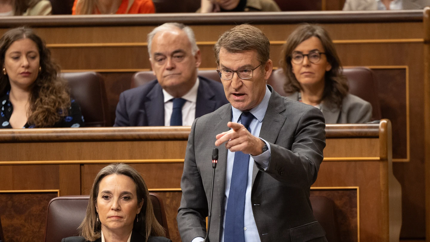 El líder del PP, Alberto Núñez Feijóo, durante una sesión de control al Gobierno El líder del PP, Alberto Núñez Feijóo, durante una sesión de control al Gobierno