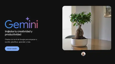 Gemini Gemini