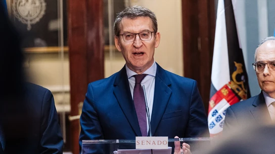 El líder del PP, Alberto Núñez Feijóo, durante su comparecencia ante los medios en el Senado Feijóo exige a Sánchez que aclare su "responsabilidad política y personal" en el 'caso Koldo': "Lo sabía y lo tapó"