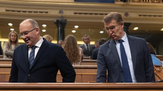 El portavoz del PP en el Congreso, Miguel Tellado, y el líder del PP, Alberto Núñez Feijóo El portavoz del PP en el Congreso, Miguel Tellado, y el líder del PP, Alberto Núñez Feijóo