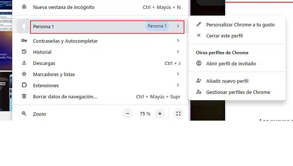 Gestionando perfiles en Chrome