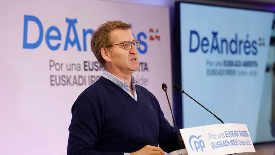 Alberto Nuñez Feijóo, líder del Partido Popular Alberto Nuñez Feijóo, líder del Partido Popular