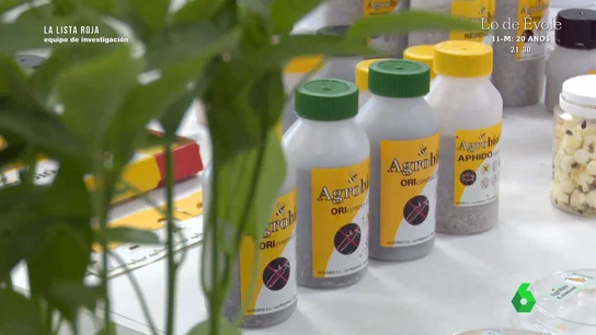 Equipo: Insectos come plagas Equipo: Insectos come plagas