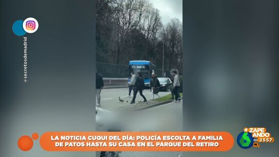 Una familia de patos corta el tr&aacute;fico de Madrid 'escoltada' por agentes de polic&iacute;a