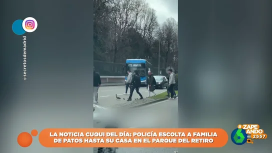 Una familia de patos corta el tráfico de Madrid 'escoltada' por agentes de policía Una familia de patos corta el tráfico de Madrid 'escoltada' por agentes de policía
