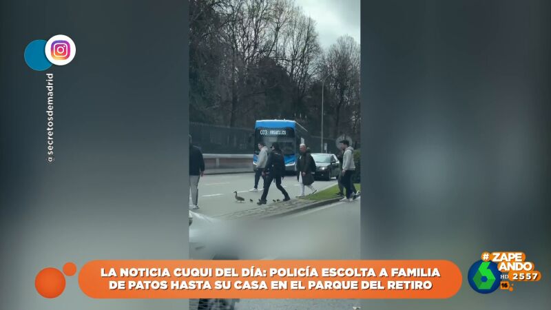 Una familia de patos corta el tráfico de Madrid 'escoltada' por agentes de policía