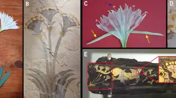 Nuevas hipotesis sobre la planta moly de la Odisea un enigma botanico milenario