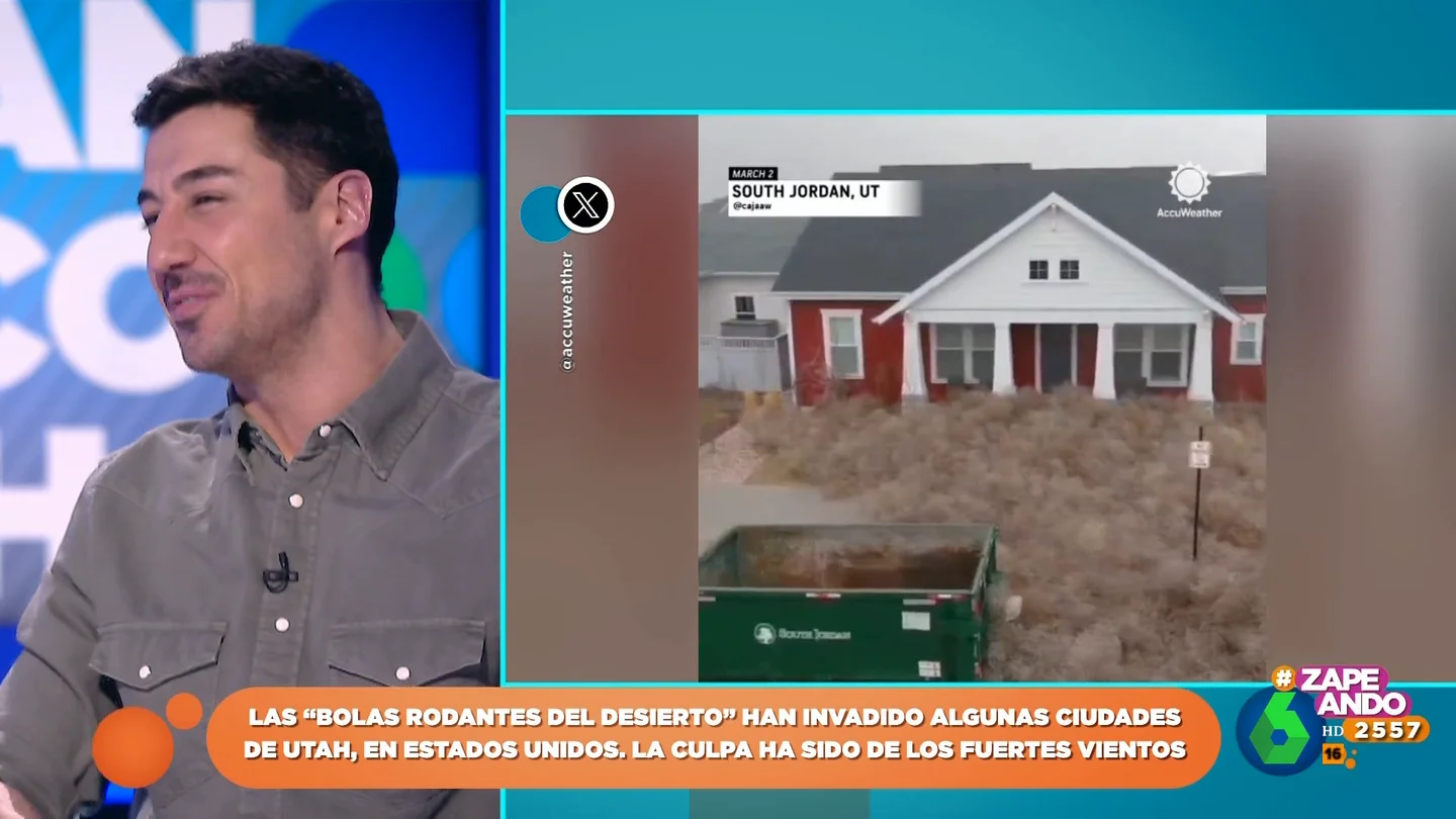 Las bolas rodantes del desierto invaden algunas ciudades de Utah: Francisco Cacho explica las causas Las bolas rodantes del desierto invaden algunas ciudades de Utah: Francisco Cacho explica las causas