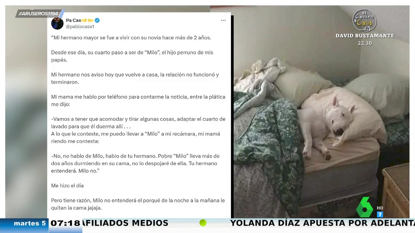 Vuelve a casa de sus padres dos años después y su perro ha ocupado su cama: "Vas a tener que dormir en el cuarto de la lavadora" Vuelve a casa de sus padres dos años después y su perro ha ocupado su cama: "Vas a tener que dormir en el cuarto de la lavadora"
