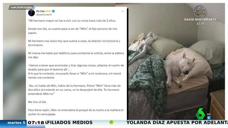 Vuelve a casa de sus padres dos años después y su perro ha ocupado su cama: "Vas a tener que dormir en el cuarto de la lavadora"