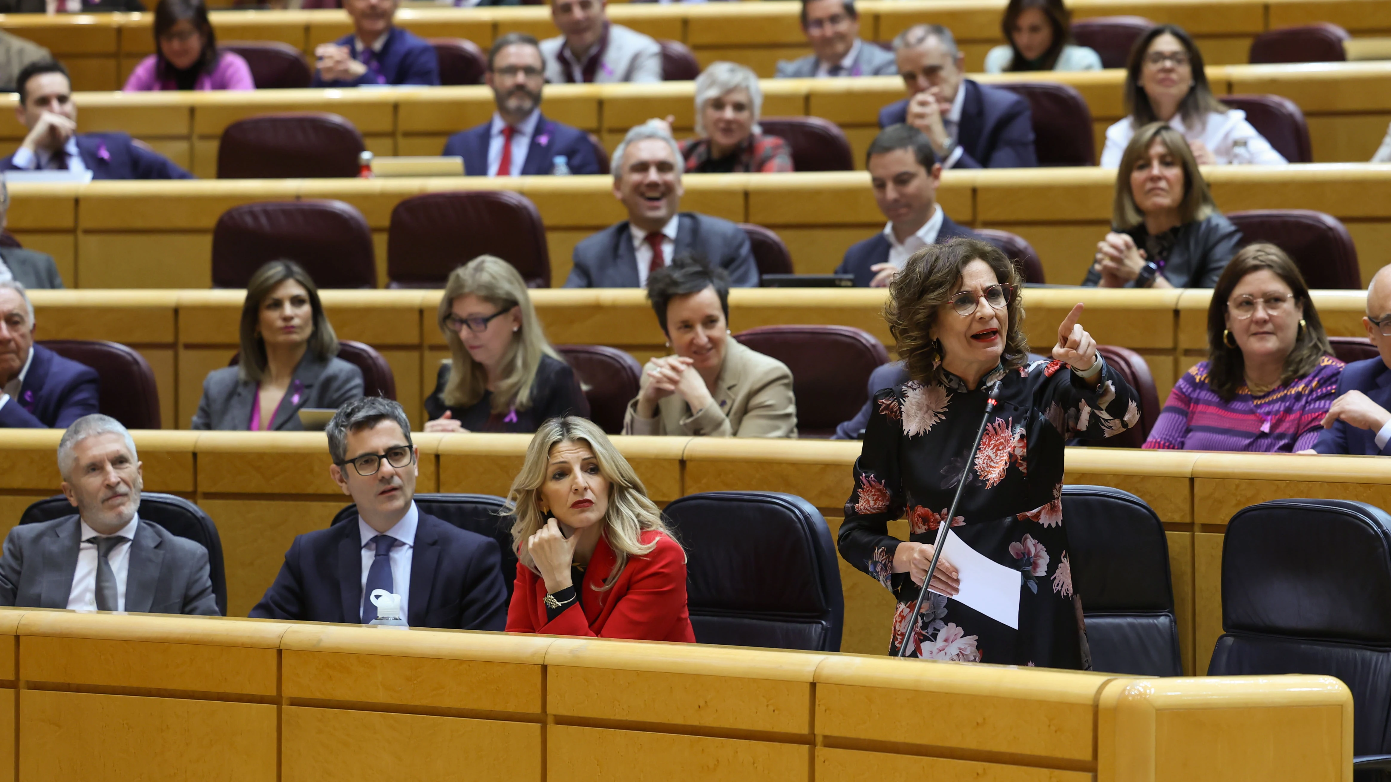 Sesión de control en el Senado