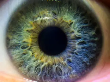 La Agencia Española de Protección de Datos (AEPD) prohíbe que Worldcoin siga escaneando el iris de usuarios