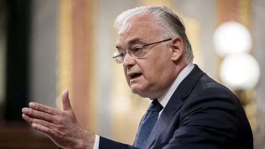 Imagen de archivo del vicesecretario de Institucional del PP, Esteban González Pons. Imagen de archivo del vicesecretario de Institucional del PP, Esteban González Pons.