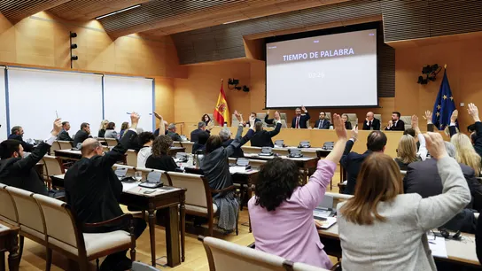 La Comisión de de Justicia del Congreso vota el dictamen de la ley de amnistía La Comisión de de Justicia del Congreso vota el dictamen de la ley de amnistía