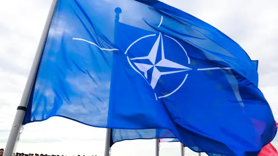 Suecia completa su adhesión a la OTAN y se convierte en el 32º país miembro Suecia completa su adhesión a la OTAN y se convierte en el 32º país miembro