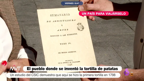 MVT villanueva tortilla MVT villanueva tortilla
