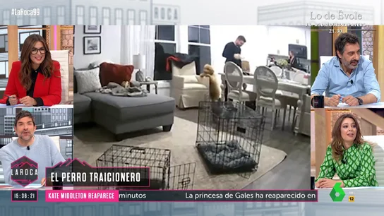 LA ROCA- La advertencia de Nacho García sobre los perros: "Dejad de dar por hecho que son buenas personas" LA ROCA- La advertencia de Nacho García sobre los perros: "Dejad de dar por hecho que son buenas personas"