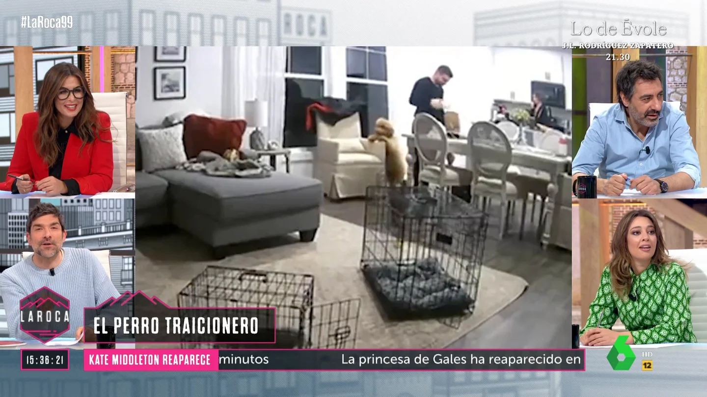 LA ROCA- La advertencia de Nacho García sobre los perros: "Dejad de dar por hecho que son buenas personas" LA ROCA- La advertencia de Nacho García sobre los perros: "Dejad de dar por hecho que son buenas personas"