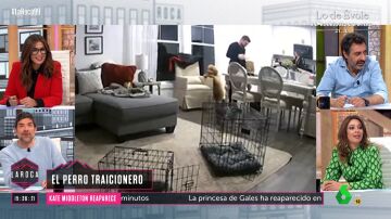 LA ROCA- La advertencia de Nacho García sobre los perros: "Dejad de dar por hecho que son buenas personas"