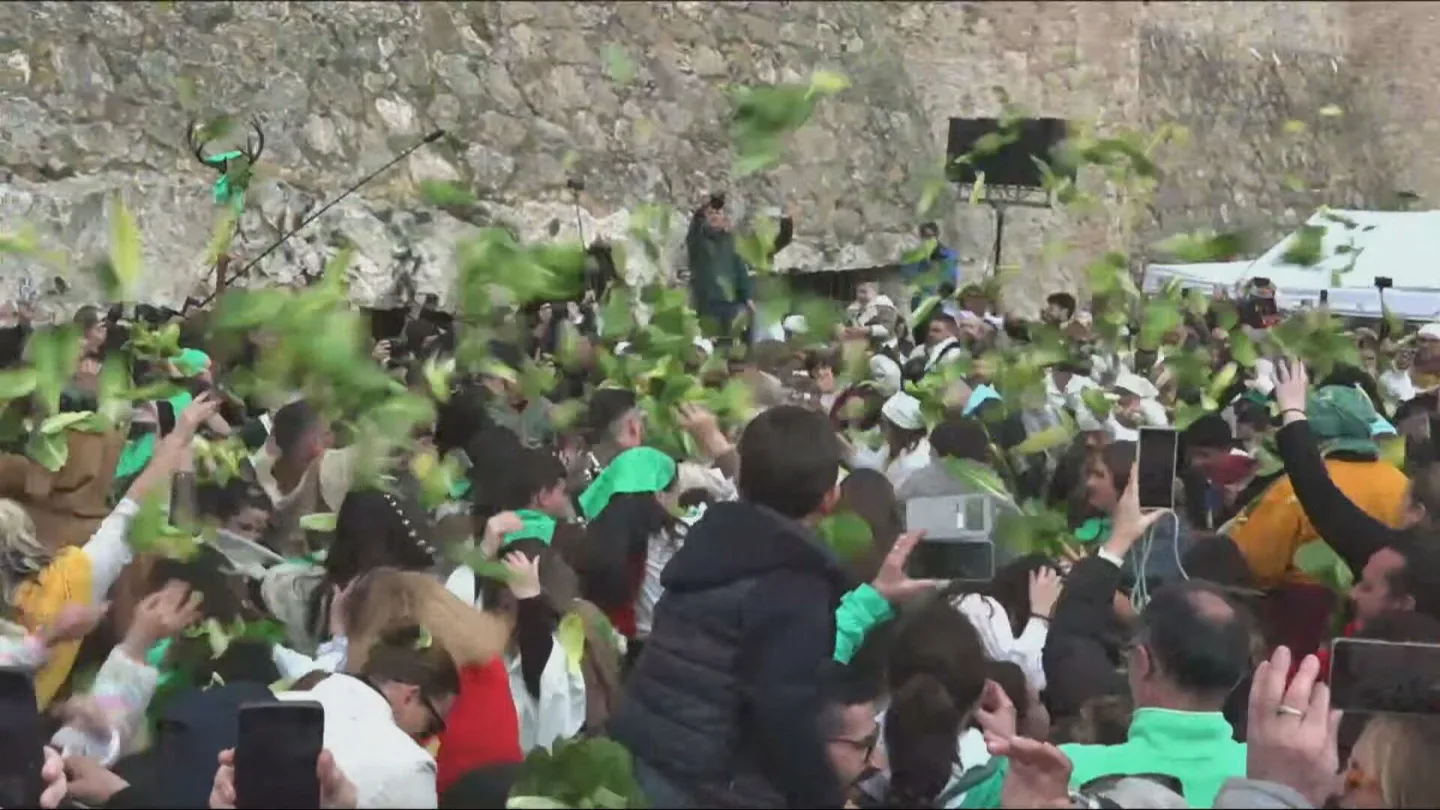 Batalla de lechugas en Villena Batalla de lechugas en Villena