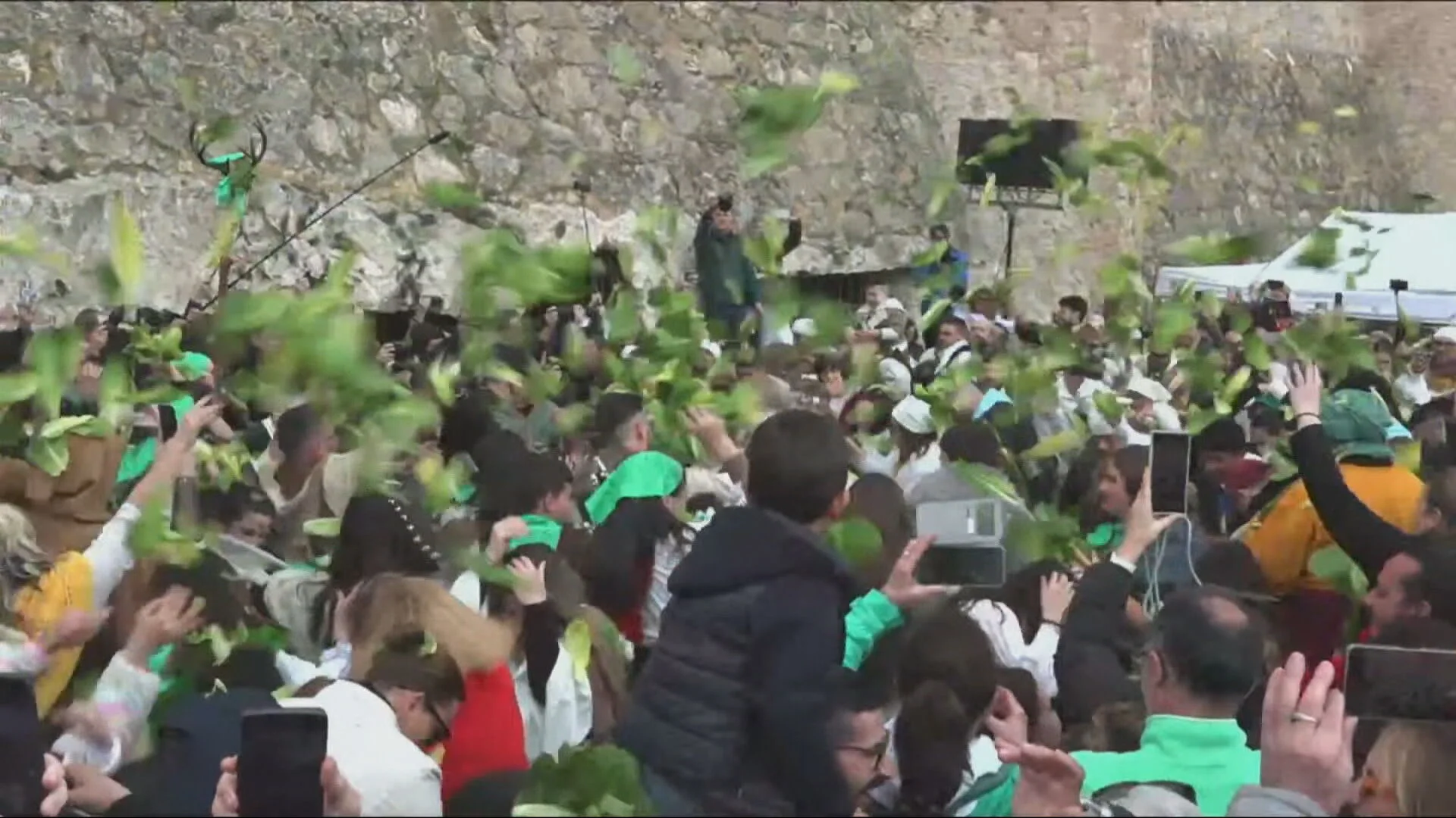 Batalla de lechugas en Villena