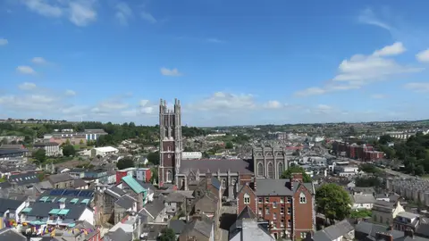 Cork Cork