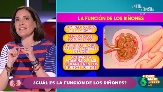 ¿Cuál es la función de los riñones? Boticaria García explica que es el órgano encargado de "sacar la basura" ¿Cuál es la función de los riñones? Boticaria García explica que es el órgano encargado de "sacar la basura"