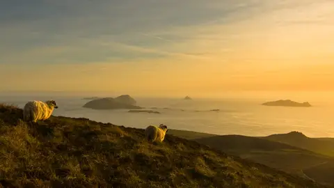 Blasket islands Blasket islands