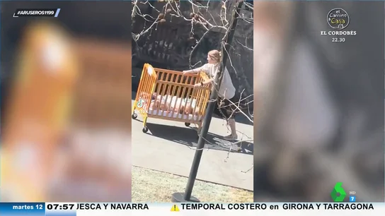 El ingenioso método de una madre para pasear a sus cuatro bebés: olvídate de los carritos y apuesta por la cuna El ingenioso método de una madre para pasear a sus cuatro bebés: olvídate de los carritos y apuesta por la cuna