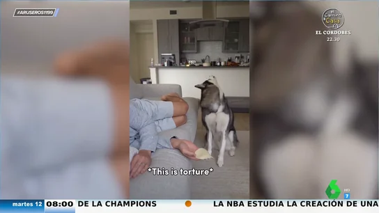 El dilema moral de un perro que duda si comerse o no el queso de la mano de su dueño, que finge estar dormido El dilema moral de un perro que duda si comerse o no el queso de la mano de su dueño, que finge estar dormido