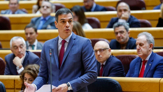 El presidente del Gobierno, Pedro Sánchez, comparece en el Senado El presidente del Gobierno, Pedro Sánchez, comparece en el Senado
