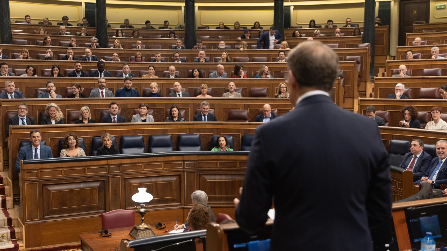El líder del PP, Alberto Núñez Feijóo, interviene durante la sesión de control en el Congreso El líder del PP, Alberto Núñez Feijóo, interviene durante la sesión de control en el Congreso