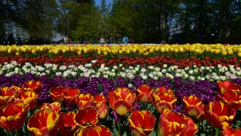 Parque Keukenhof Parque Keukenhof