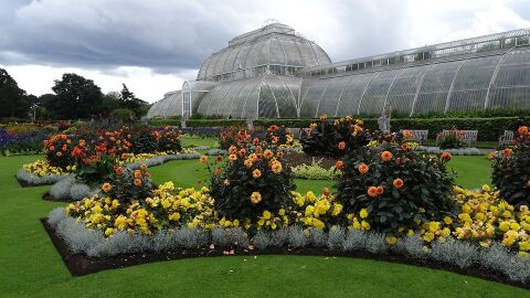 Jardín Botánico de Kew