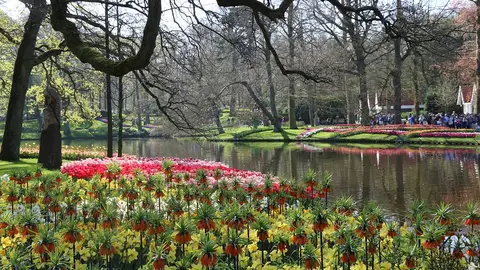 Parque Keukenhof. Países Bajos Parque Keukenhof. Países Bajos
