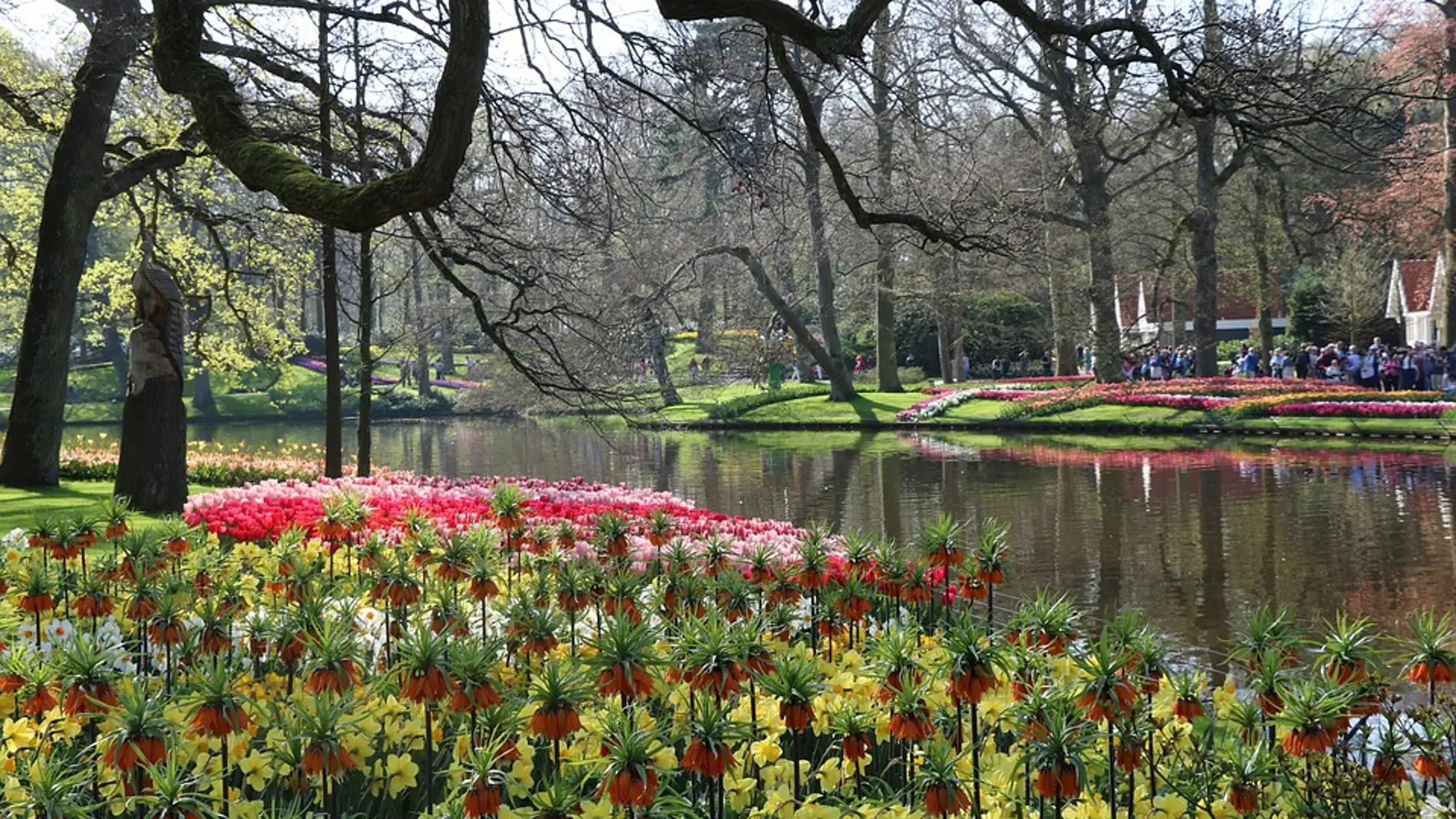 Parque Keukenhof. Países Bajos